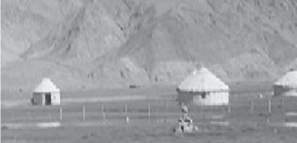 s16